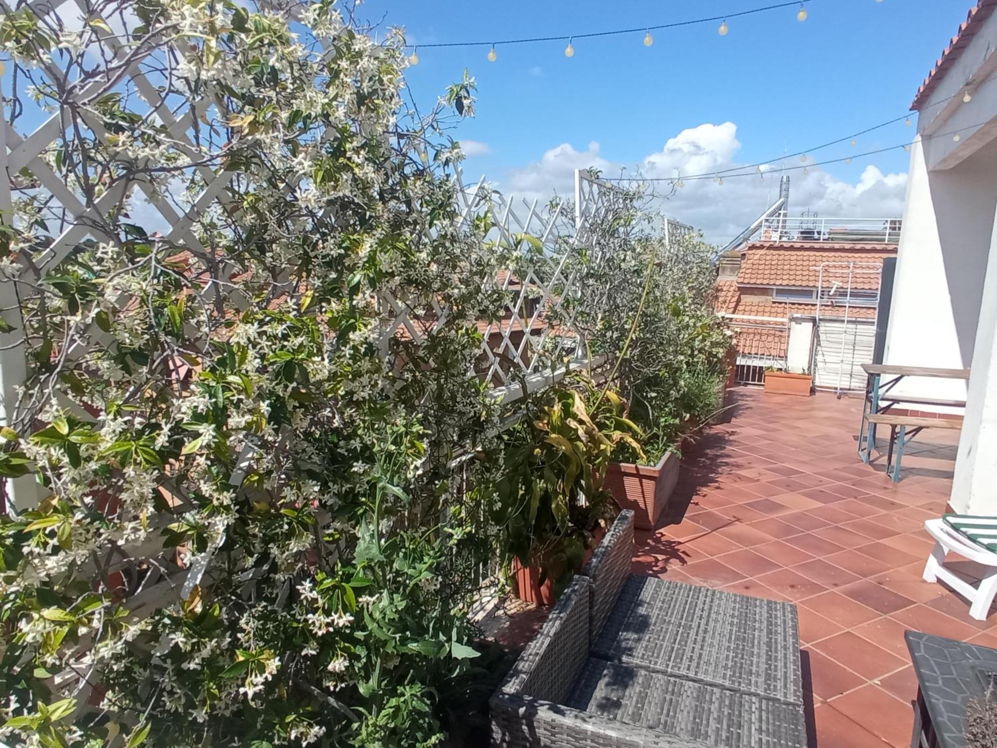Rooftop Appia Antica,Silenzioso Riservato Two Bedrooms Two Bathrooms Рим Экстерьер фото